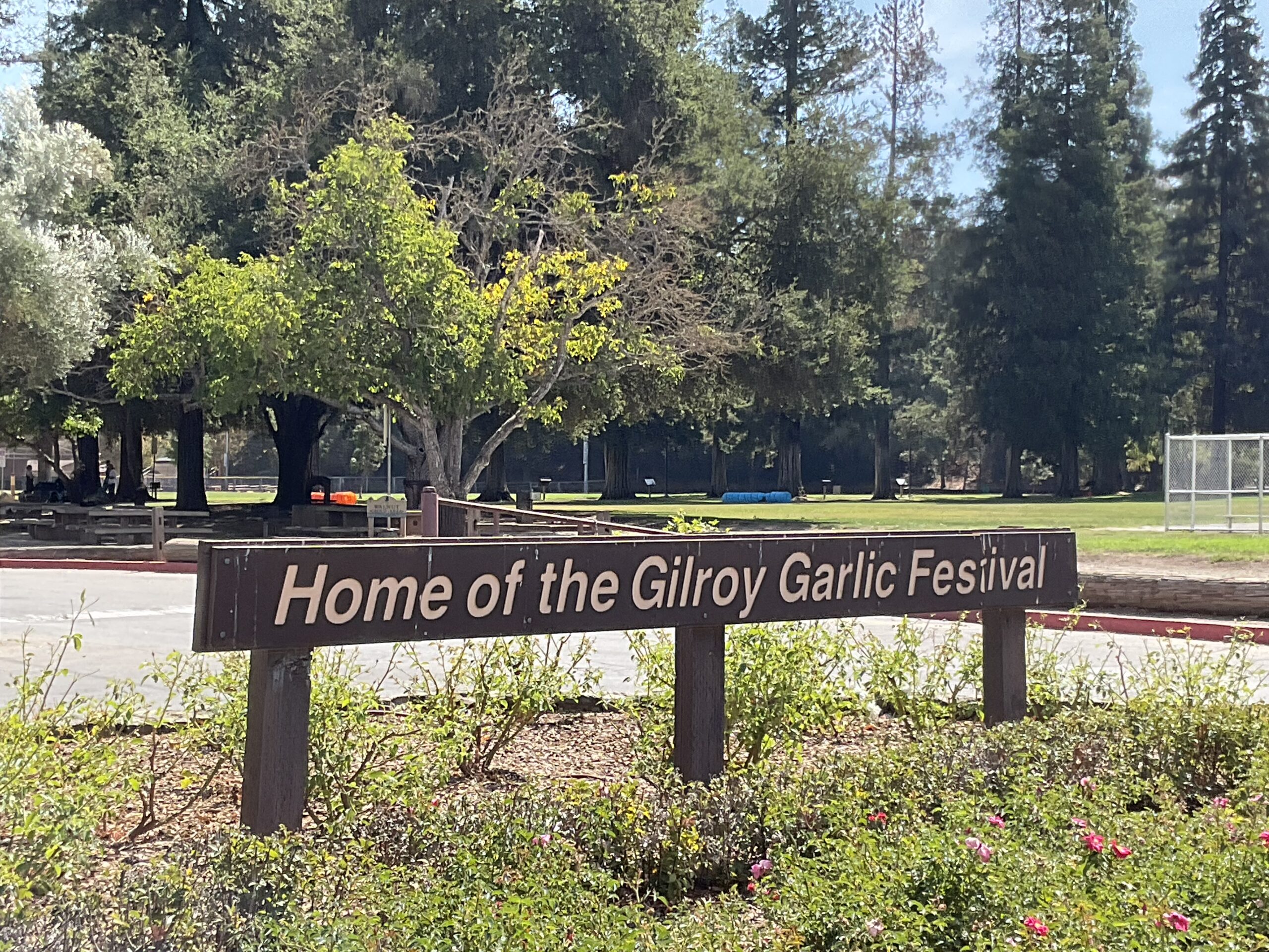 gilroy garlic festival